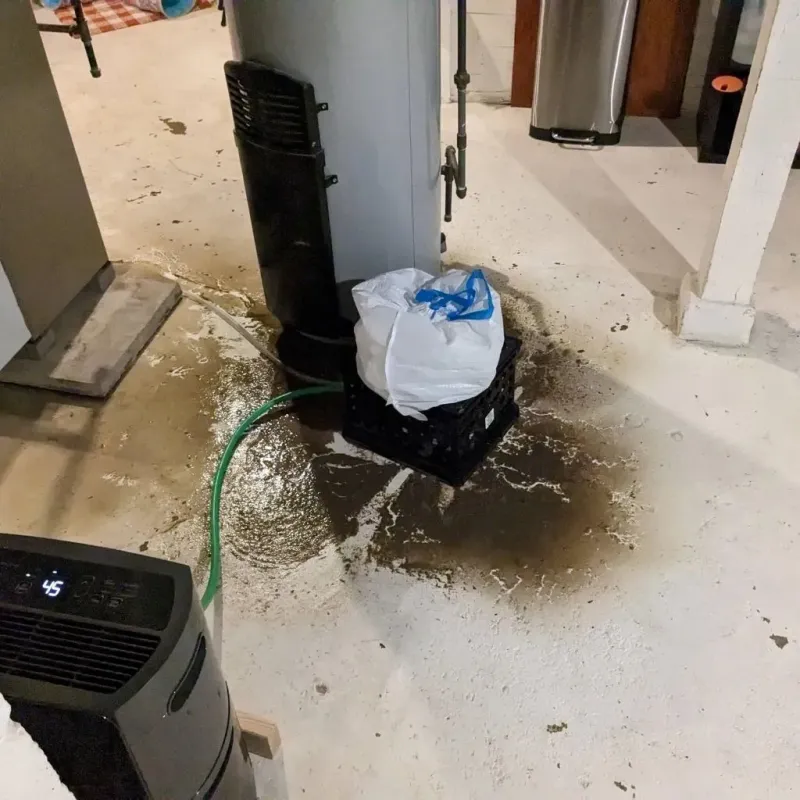 Sewage Backup Cleanup Service in Bloomingdale, NJ